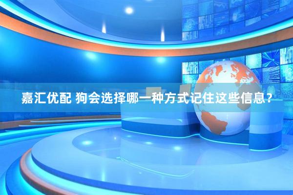 嘉汇优配 狗会选择哪一种方式记住这些信息？