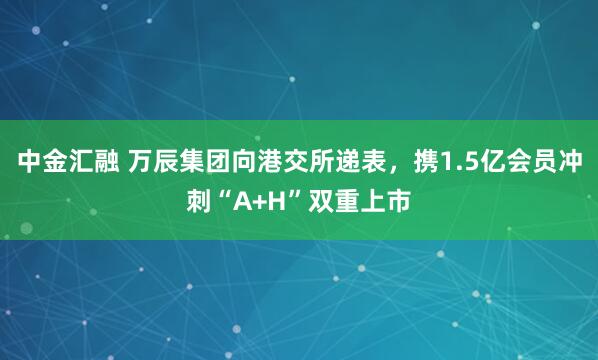 中金汇融 万辰集团向港交所递表，携1.5亿会员冲刺“A+H”双重上市