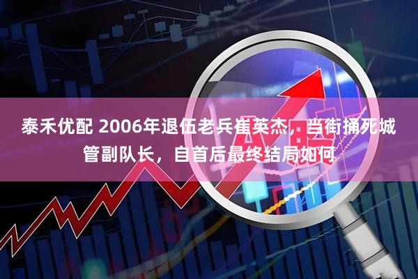 泰禾优配 2006年退伍老兵崔英杰，当街捅死城管副队长，自首后最终结局如何