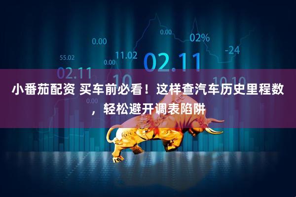 小番茄配资 买车前必看！这样查汽车历史里程数，轻松避开调表陷阱