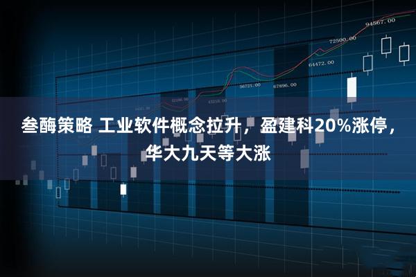 叁酶策略 工业软件概念拉升，盈建科20%涨停，华大九天等大涨