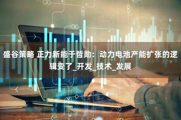 盛谷策略 正力新能于哲勋：动力电池产能扩张的逻辑变了_开发_技术_发展